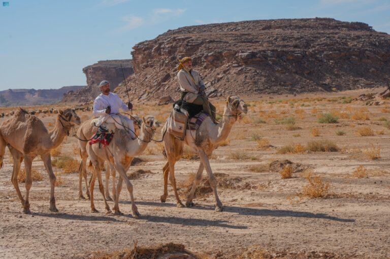 صور|-رحّالة-بريطانيون-يقطعون-500-كم-على-ظهور-الإبل-بمحمية-الملك-سلمان