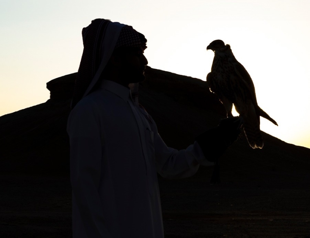 شملتا-أساليب-الرعاية.-ندوتان-علميتان-عن-الصقور-في-جامعة-الطائف