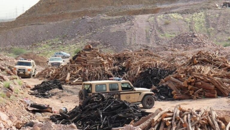 دوريات-الإدارة-العامة-للمجاهدين-بحائل-تضبط-مخالفًا-لنظام-البيئة