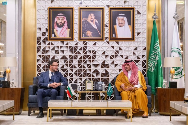 وزير-الداخلية-يبحث-تعزيز-التعاون-الأمني-مع-نظيره-البلغاري