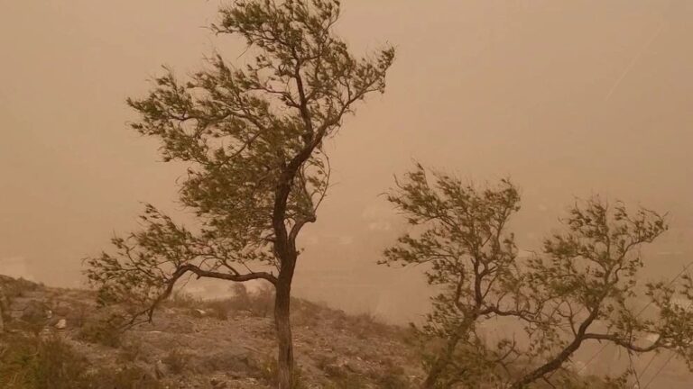 طقس-المدينة-المنورة.-أتربة-مثارة-حتى-الساعة-6-مساء