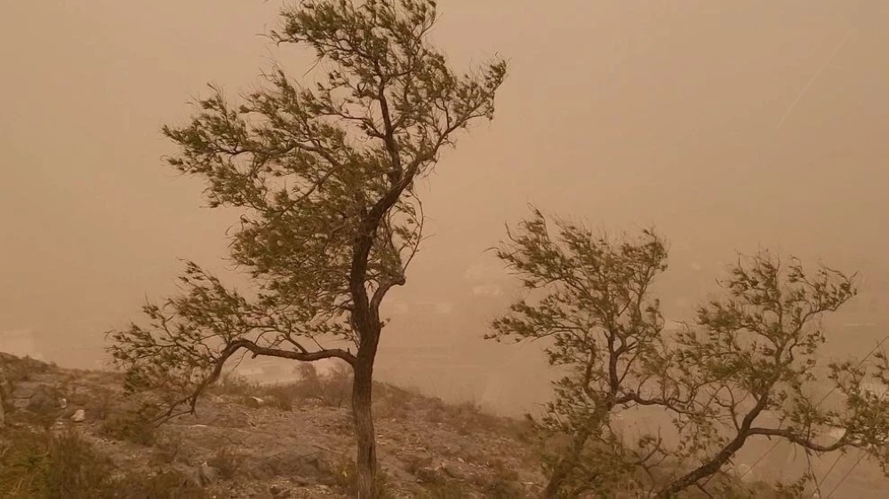 طقس-المدينة-المنورة.-أتربة-مثارة-حتى-الساعة-6-مساء