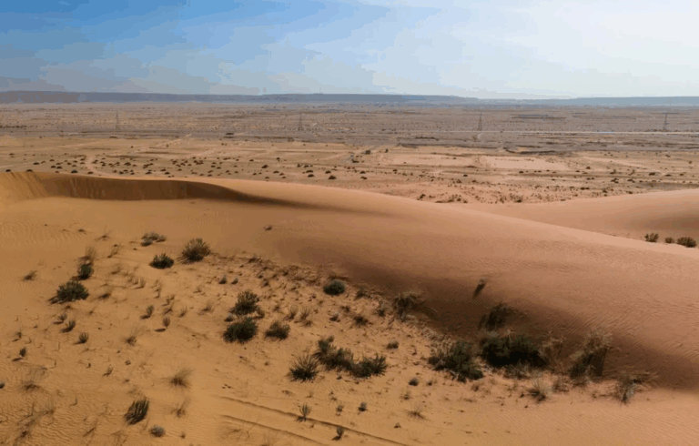 محمية-الملك-عبدالعزيز:-التنزه-في-منطقة-الطوقي-متاح-بشرط