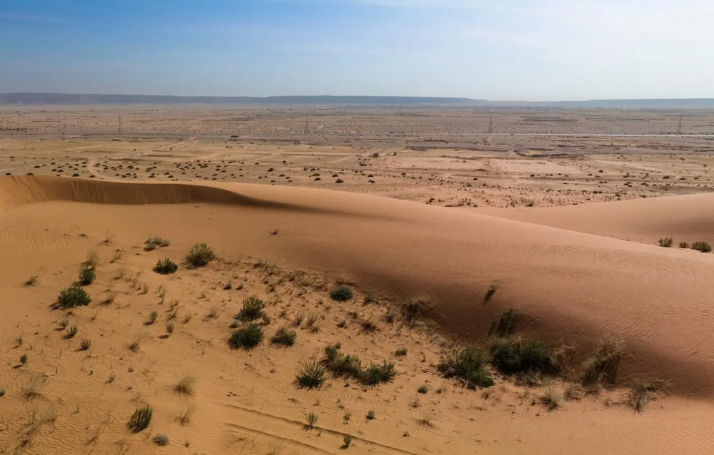 محمية-الملك-عبدالعزيز:-التنزه-في-منطقة-الطوقي-متاح-بشرط
