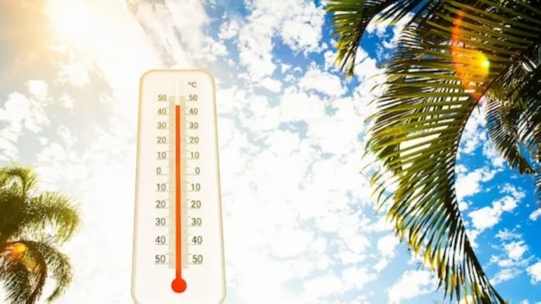 عوالق-ترابية-وغيوم.-بيان درجات-الحرارة-والظواهر-الجوية-في-المملكة