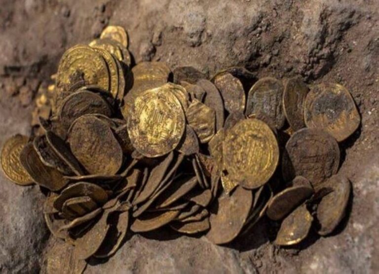 بينها-قطع-معدنية-عربية.-علماء-روس-يكتشفون-آثارًا-بمنطقة-إيفانوفو