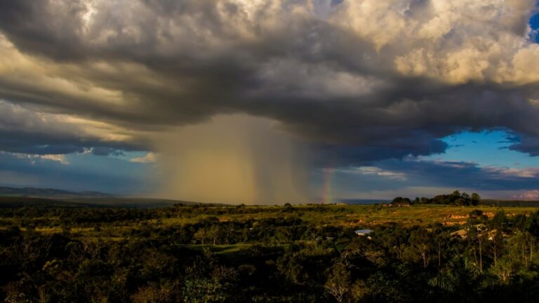 عاجل-|-مركز-الأرصاد-يحذر-منها.-ماذا-تعرف-عن-“الرياح-الهابطة”؟