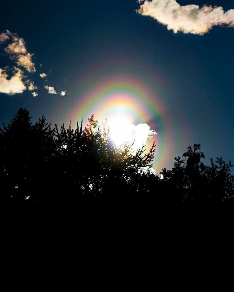 فلكية-جدة:-حبوب-لقاح-العرعر-تصنع-حلقات-ملونة-حول-الشمس-في-أواخر-الشتاء