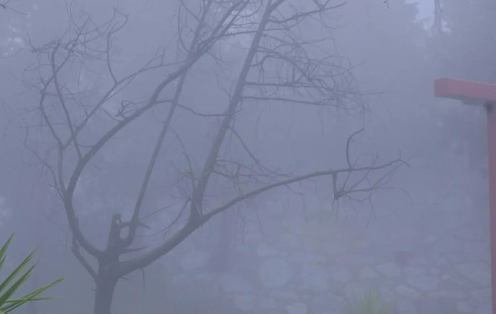 صور-|-الباحة-تحت-الضباب-والأمطار.-مشاهد-طبيعية-ساحرة-تجذب-الزوار