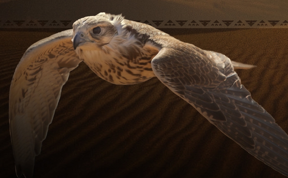 استمرار-جهود-تنفيذ-برنامج-“هدد”-لحماية-الصقور-وتعزيز-استدامتها