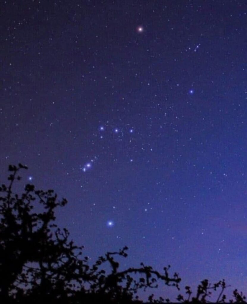 فلكية-جدة:-نجوم-الجوزاء-تنحرف-غربًا-معلنة-اقتراب-رحيلها-عن-سماء-المساء