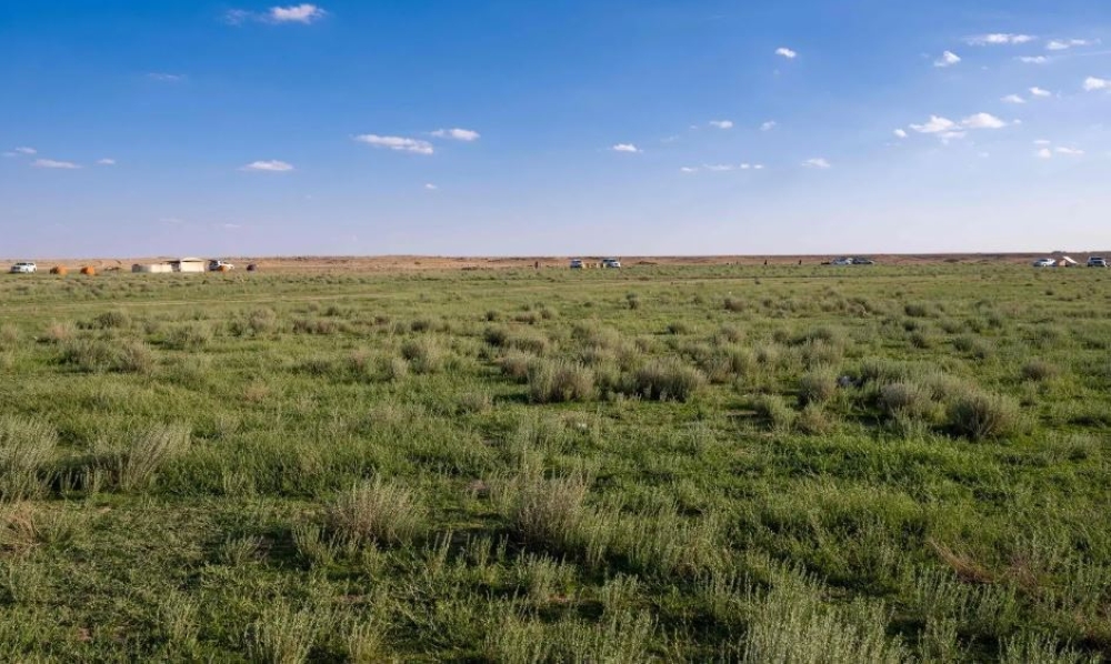 فياض”زبالا-الأثرية”.-لوحة-فنية-ترسمها-الأمطار-وتنعشها-الطلعات-البرية