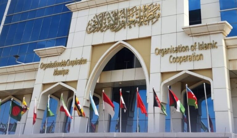 جيبوتي-تثمّن-جهود-المملكة-لإحلال-السلم-الدائم-وتشيد-بالدعم-الإنساني-السخي