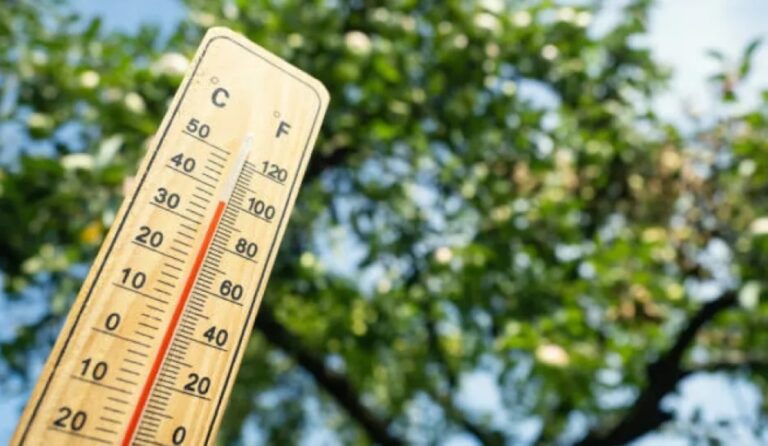 الدمام-27-مئوية.-بيان-درجات-الحرارة-العظمى-على-بعض-مدن-المملكة