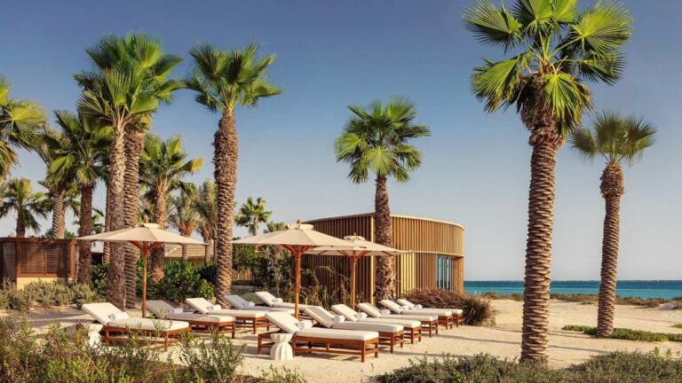 أجواء-معتدلة-وتجارب-بحرية-فريدة. الخيارات-على-شواطئ-المملكة-لا-تنتهي