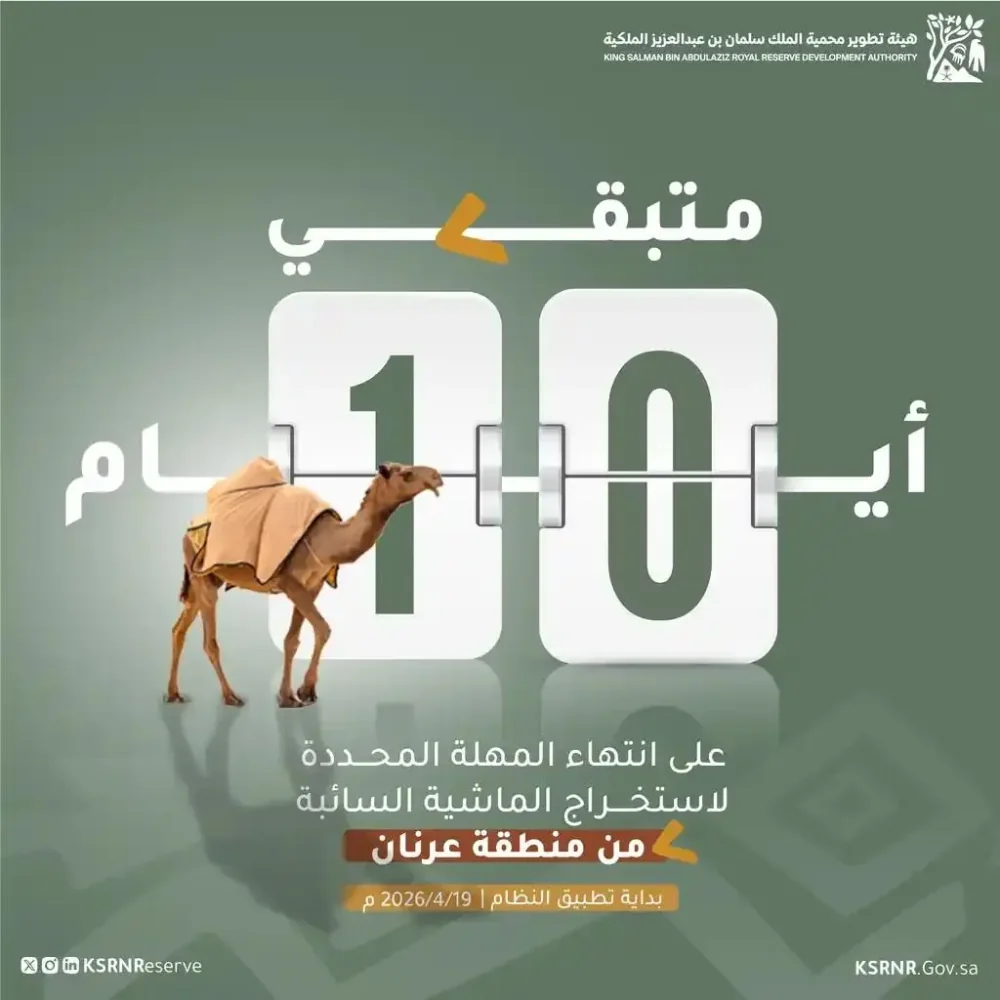 محمية-الملك-سلمان-تمنح-ملاك-المواشي-السائبة-في-“عرنان”-مهلة-10-أيام-لإخراجها