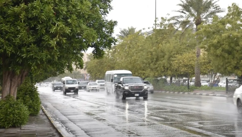 حتى-7-مساءً:-أمطار-متوسطة-ورياح-على-منطقتي-الباحة-ونجران