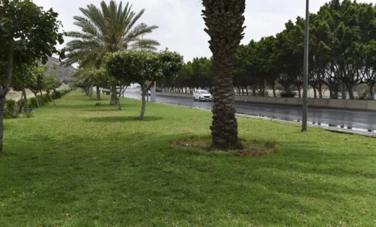 بالصور.-هطول-أمطار-على-الرياض-والطائف