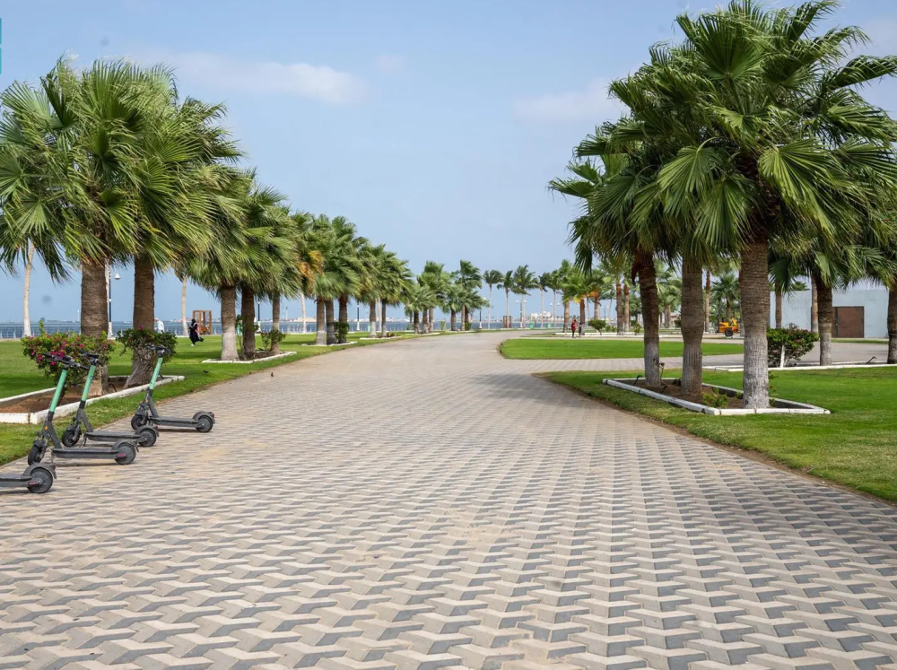 واجهة-المانجروف-في-جيزان.-أيقونة-ساحلية-جديدة-تُعزِّز-جاذبية-جازان-السياحية
