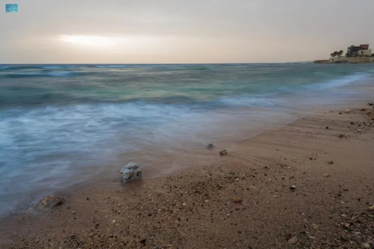 صور-|-التكوينات-الصخرية.-تناغم-بصري-مبهر-على-سواحل-محافظة-الوجه