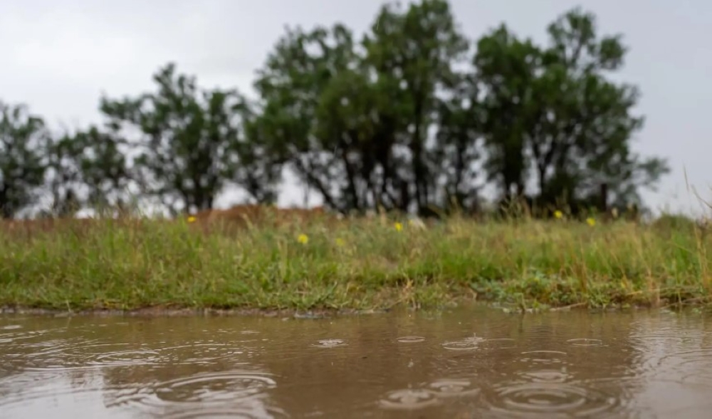 شاهد-بالصور.-الأمطار-تنعش-الحركة-السياحية-في-الأسياح-بالقصيم