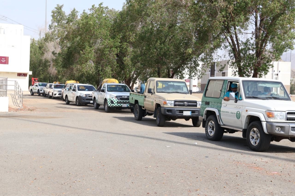 استعداداً-لحج-1447.-فرضية-لمحاصرة-«الجندب-الأسود»-في-المشاعر-المقدسة