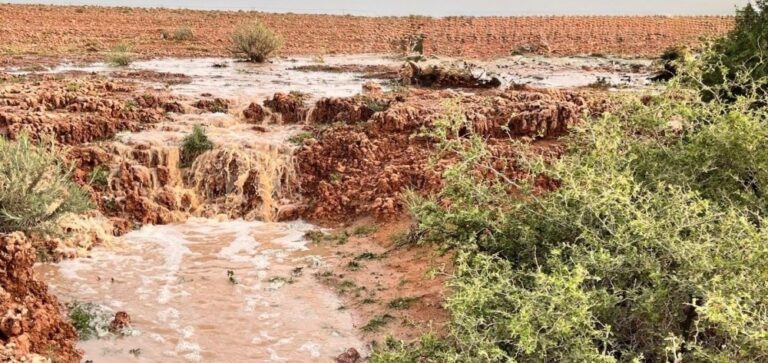 صور|-الأمطار-تُنعش-شعاب-جنوب-رفحاء-وتُحفّز-الغطاء-النباتي