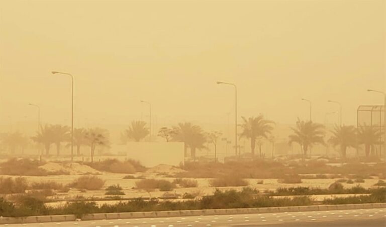 تسجيل-56-حالة-نشاط-غباري-في-الشرق-الأوسط-خلال-1-مايو.-وأوزبكستان-تتصدر