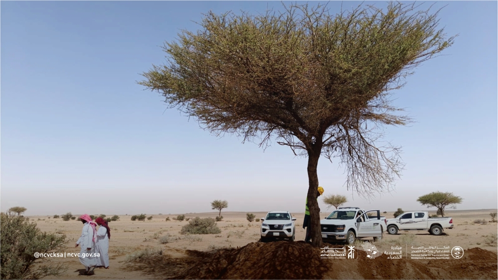 “الغطاء-النباتي”-ينفذ-أعمال-ميدانية-لمعالجة-الأشجار-المتأثرة-بالعواصف-في-المدينة-المنورة