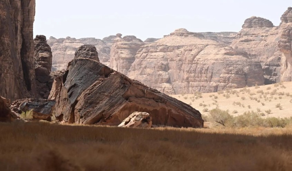 صور-|-محمية-شرعان-في-العُلا.-نموذج-عالمي-لإدارة-البيئات-الصحراوية