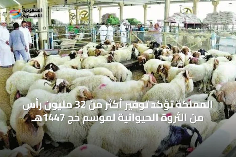المملكة تؤكد توفير أكثر من 32 مليون رأس من الثروة الحيوانية لموسم حج 1447هـ