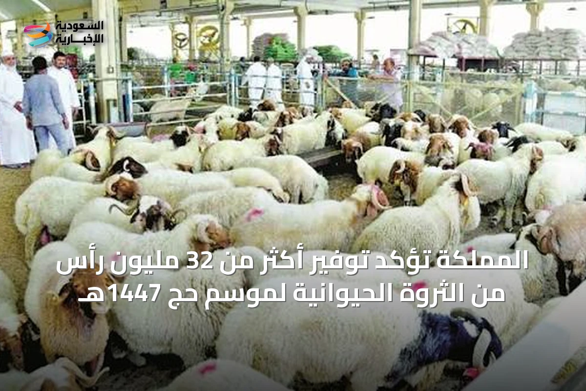 المملكة تؤكد توفير أكثر من 32 مليون رأس من الثروة الحيوانية لموسم حج 1447هـ