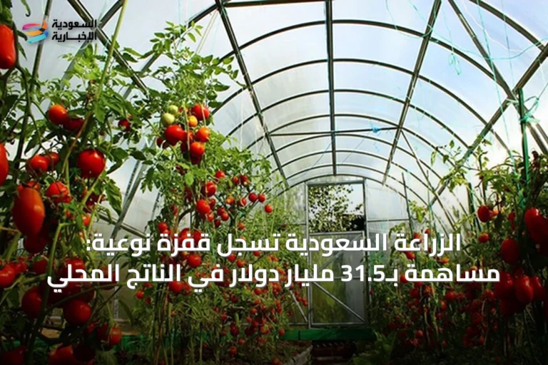 الزراعة السعودية تسجل قفزة نوعية: مساهمة بـ31.5 مليار دولار في الناتج المحلي
