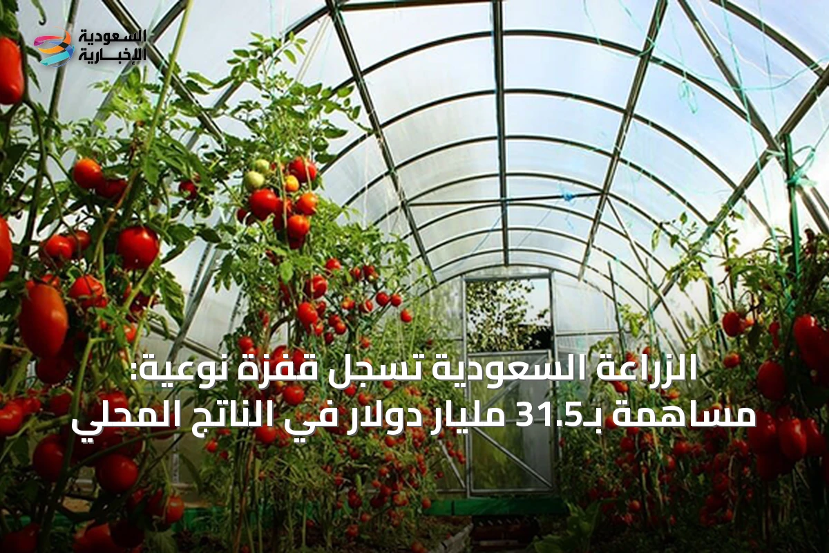 الزراعة السعودية تسجل قفزة نوعية: مساهمة بـ31.5 مليار دولار في الناتج المحلي
