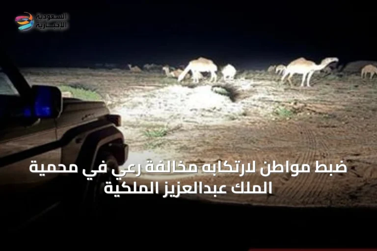 ضبط مواطن لارتكابه مخالفة رعي في محمية الملك عبدالعزيز الملكية