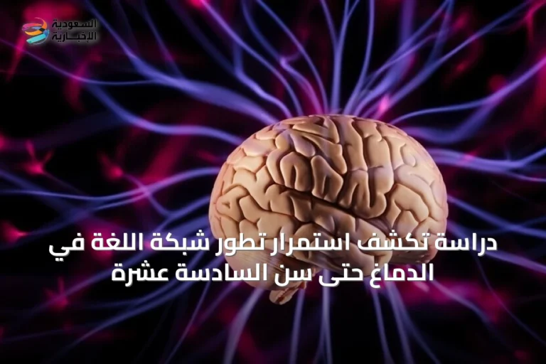 دراسة تكشف استمرار تطور شبكة اللغة في الدماغ حتى سن السادسة عشرة