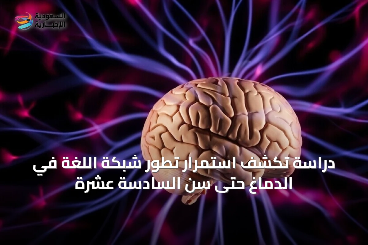 دراسة تكشف استمرار تطور شبكة اللغة في الدماغ حتى سن السادسة عشرة