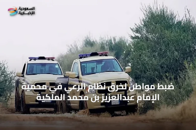 ضبط مواطن لخرق نظام الرعي في محمية الإمام عبدالعزيز بن محمد الملكية
