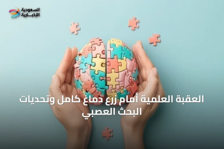 العقبة العلمية أمام زرع دماغ كامل وتحديات البحث العصبي