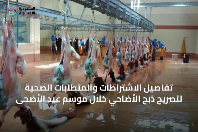 تفاصيل الاشتراطات والمتطلبات الصحية لتصريح ذبح الأضاحي خلال موسم عيد الأضحى