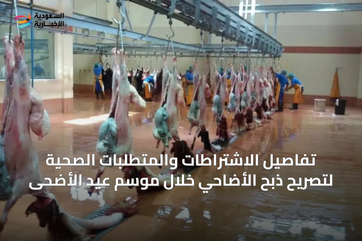 تفاصيل الاشتراطات والمتطلبات الصحية لتصريح ذبح الأضاحي خلال موسم عيد الأضحى
