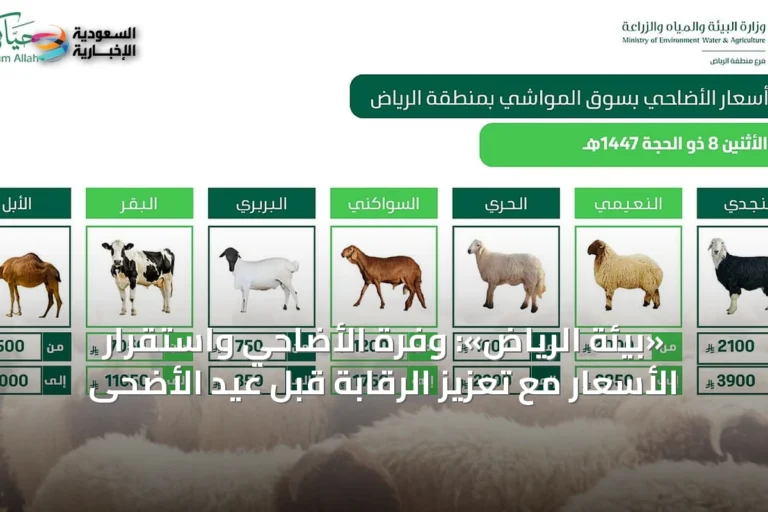 «بيئة الرياض»: وفرة الأضاحي واستقرار الأسعار مع تعزيز الرقابة قبل عيد الأضحى