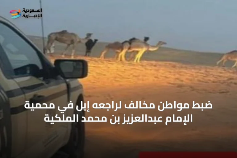 ضبط مواطن مخالف لراجعه إبل في محمية الإمام عبدالعزيز بن محمد الملكية