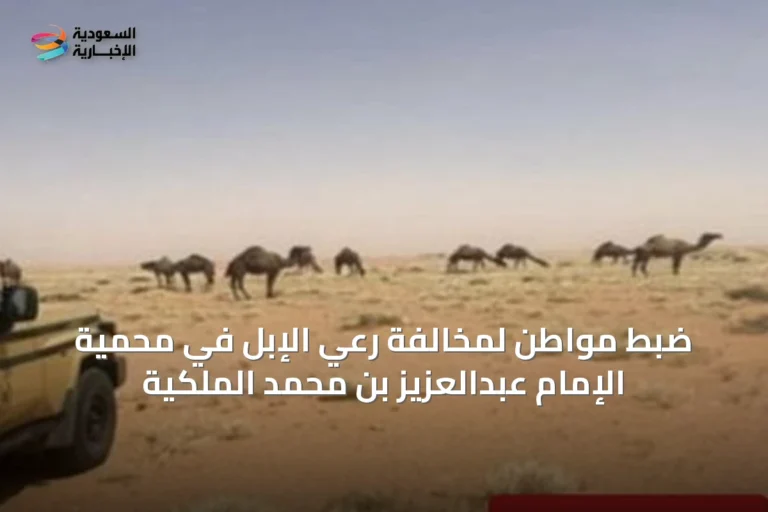 ضبط مواطن لمخالفة رعي الإبل في محمية الإمام عبدالعزيز بن محمد الملكية