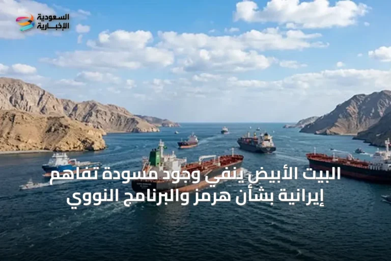 البيت الأبيض ينفي وجود مسودة تفاهم إيرانية بشأن هرمز والبرنامج النووي