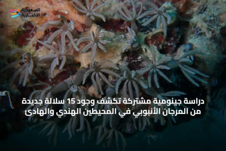 دراسة جينومية مشتركة تكشف وجود 15 سلالة جديدة من المرجان الأنبوبي في المحيطين الهندي والهادئ