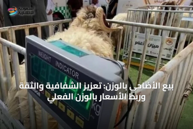 بيع الأضاحي بالوزن: تعزيز الشفافية والثقة وربط الأسعار بالوزن الفعلي