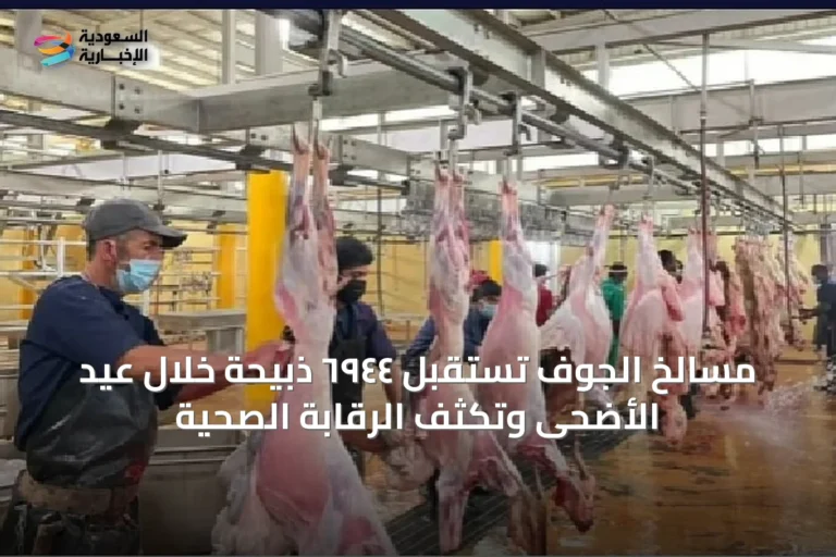 مسالخ الجوف تستقبل ٦٩٤٤ ذبيحة خلال عيد الأضحى وتكثف الرقابة الصحية