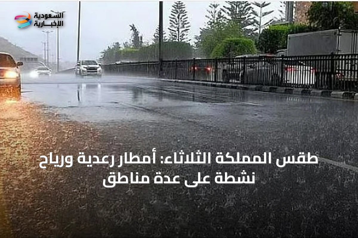 طقس المملكة الثلاثاء: أمطار رعدية ورياح نشطة على عدة مناطق