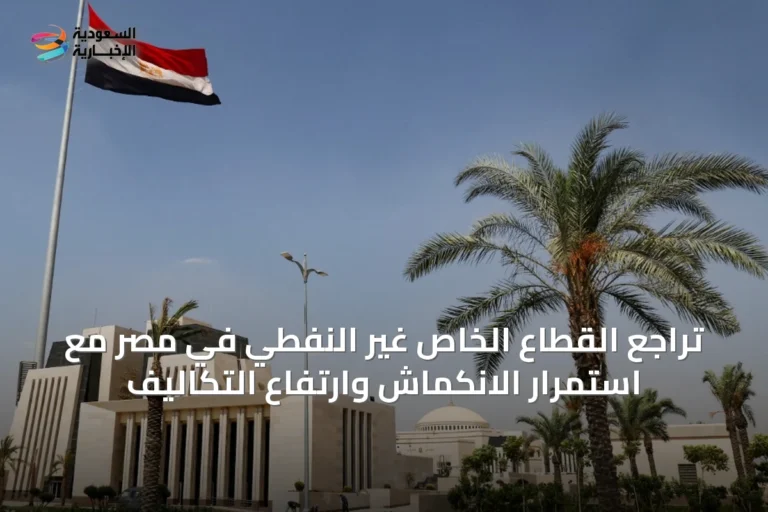 تراجع القطاع الخاص غير النفطي في مصر مع استمرار الانكماش وارتفاع التكاليف